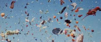 Un mundo en descomposición